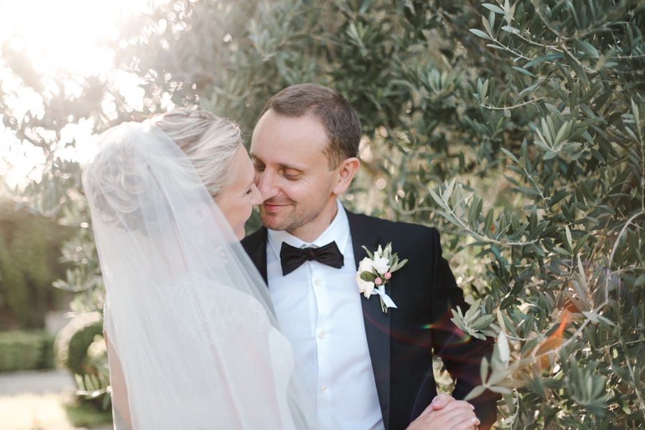 bride and groom portrait under olive tree in Menerbes