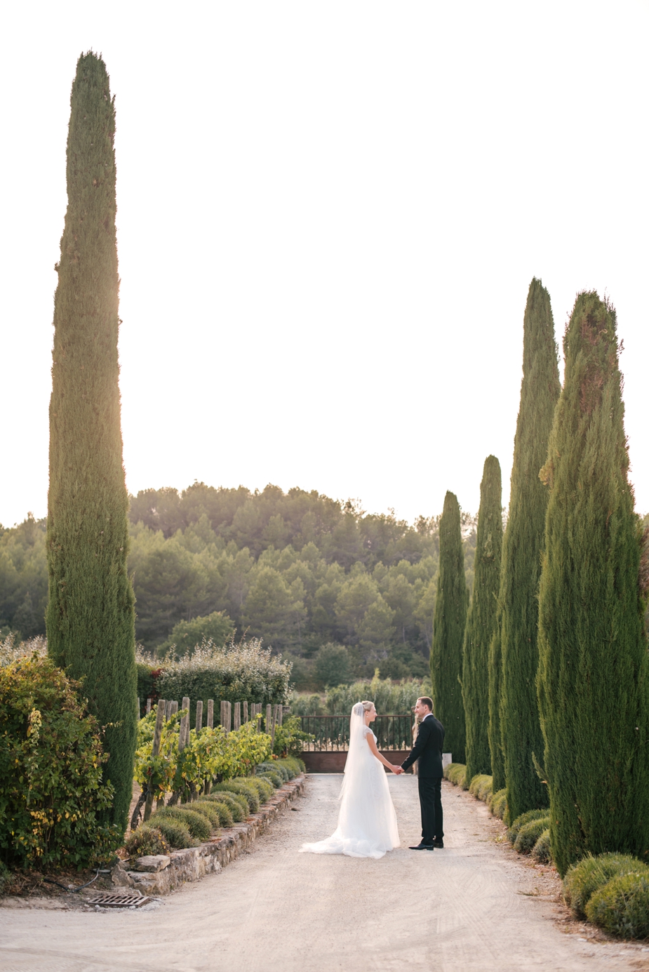 bride and groom portrait with cypress trees in Provence