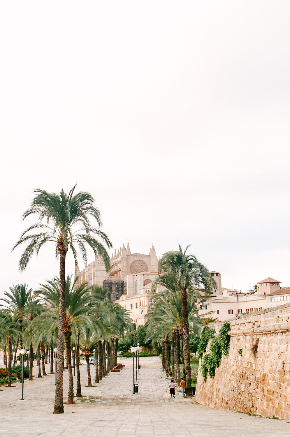 View of the Cathedral in Palma de Mallorca
